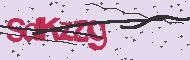 Captcha認証コード