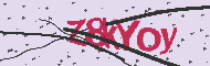 Captcha認証コード